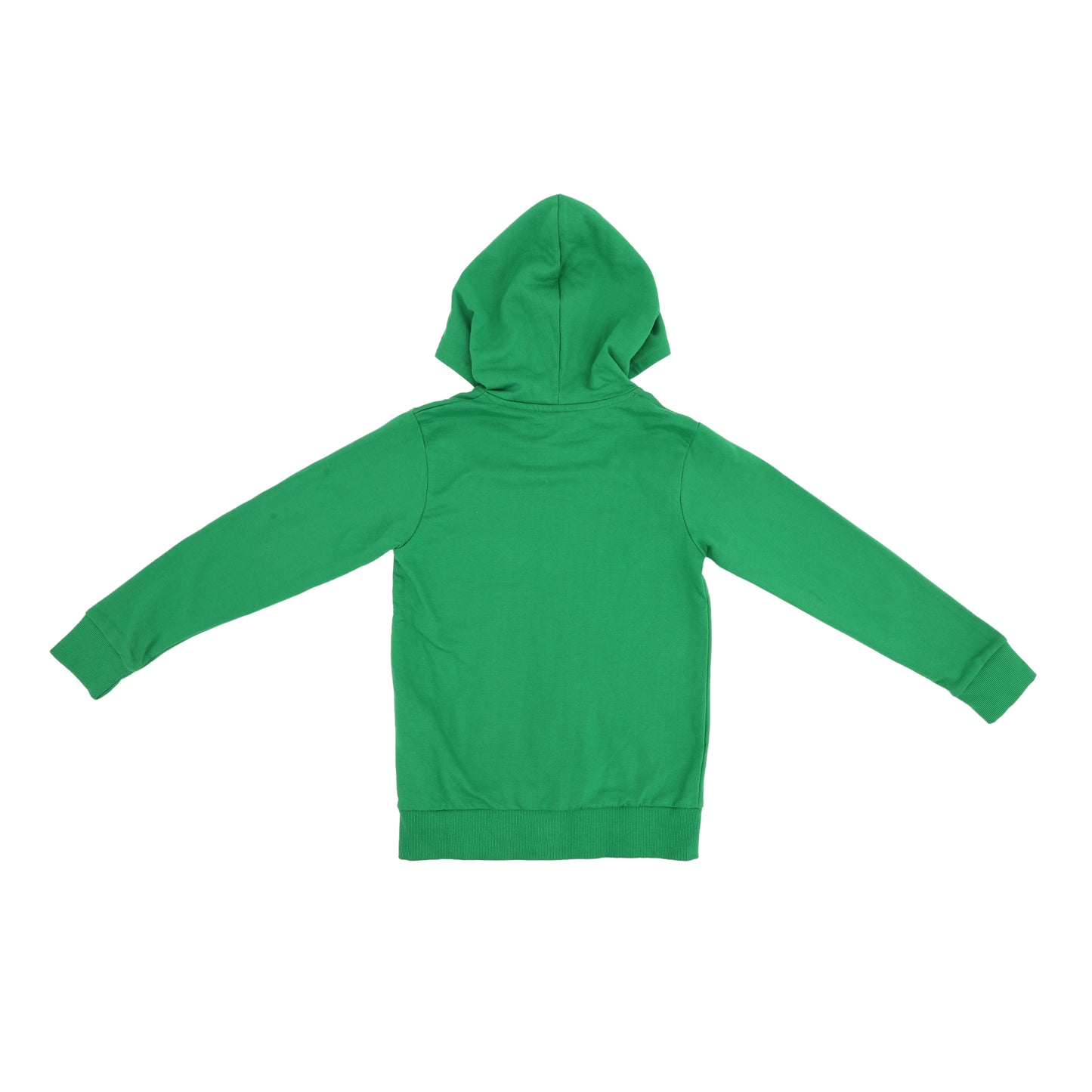 Ninjago Hoodie Zipper