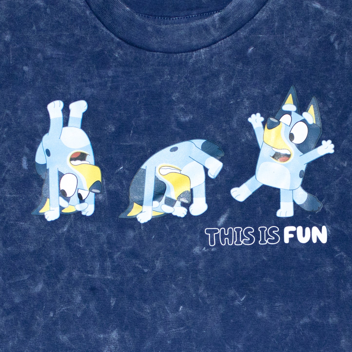 Bluey This Is Fun Smart Stone Wash Drop Shoulder Shorty Set