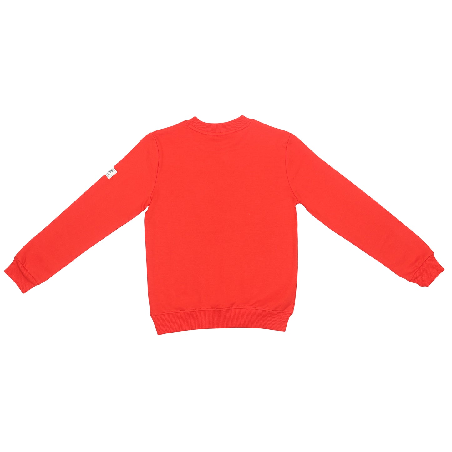 Real Skater Boys Printed Pullover Sweatshirt