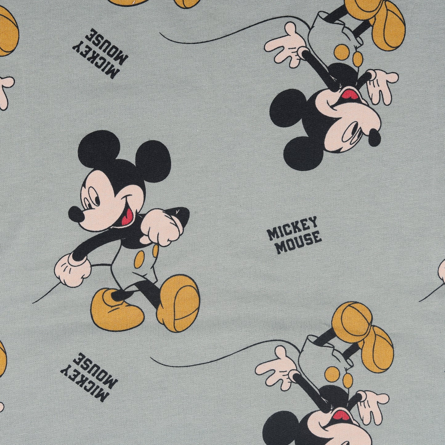 Mickey Mouse Printed Mint Green Knitted Outing Sweatshirt