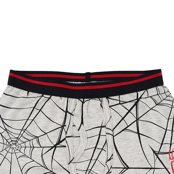 Spiderman Grey Boys Brief All Day And Night Boxers