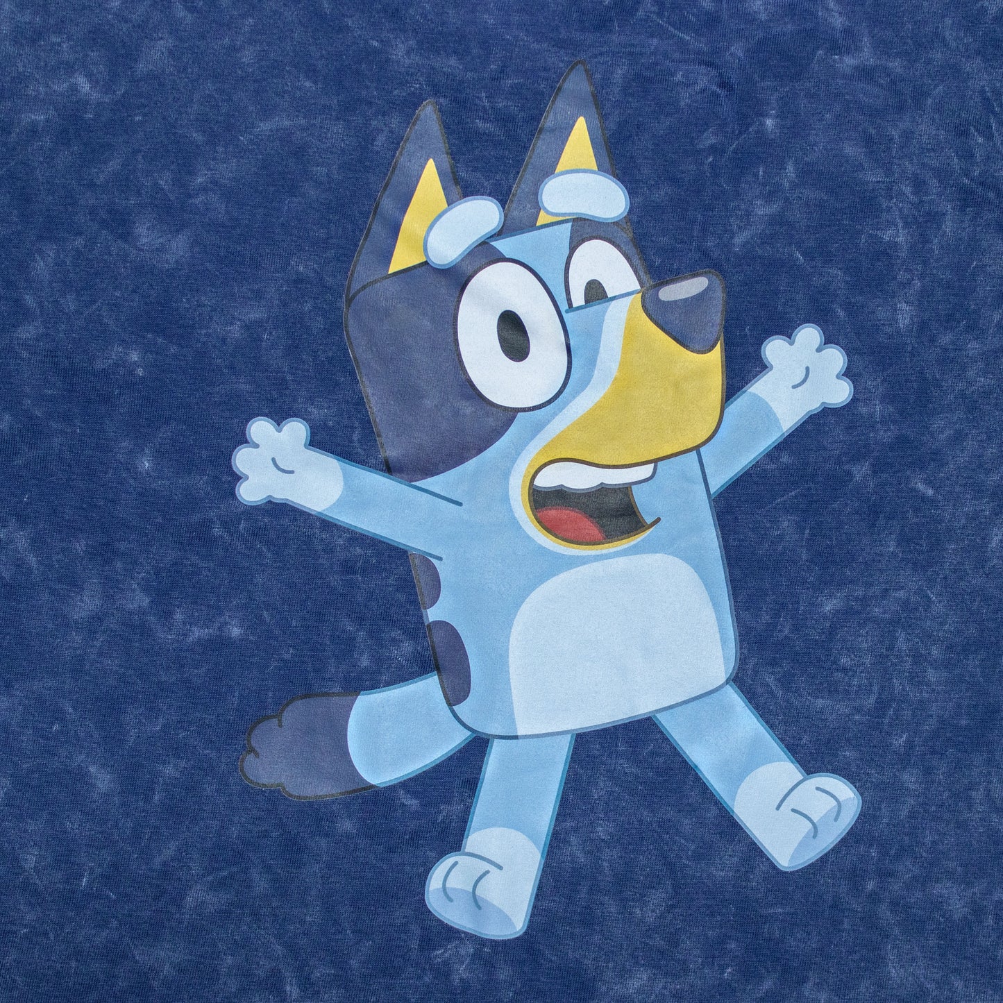 Bluey This Is Fun Smart Stone Wash Drop Shoulder Shorty Set