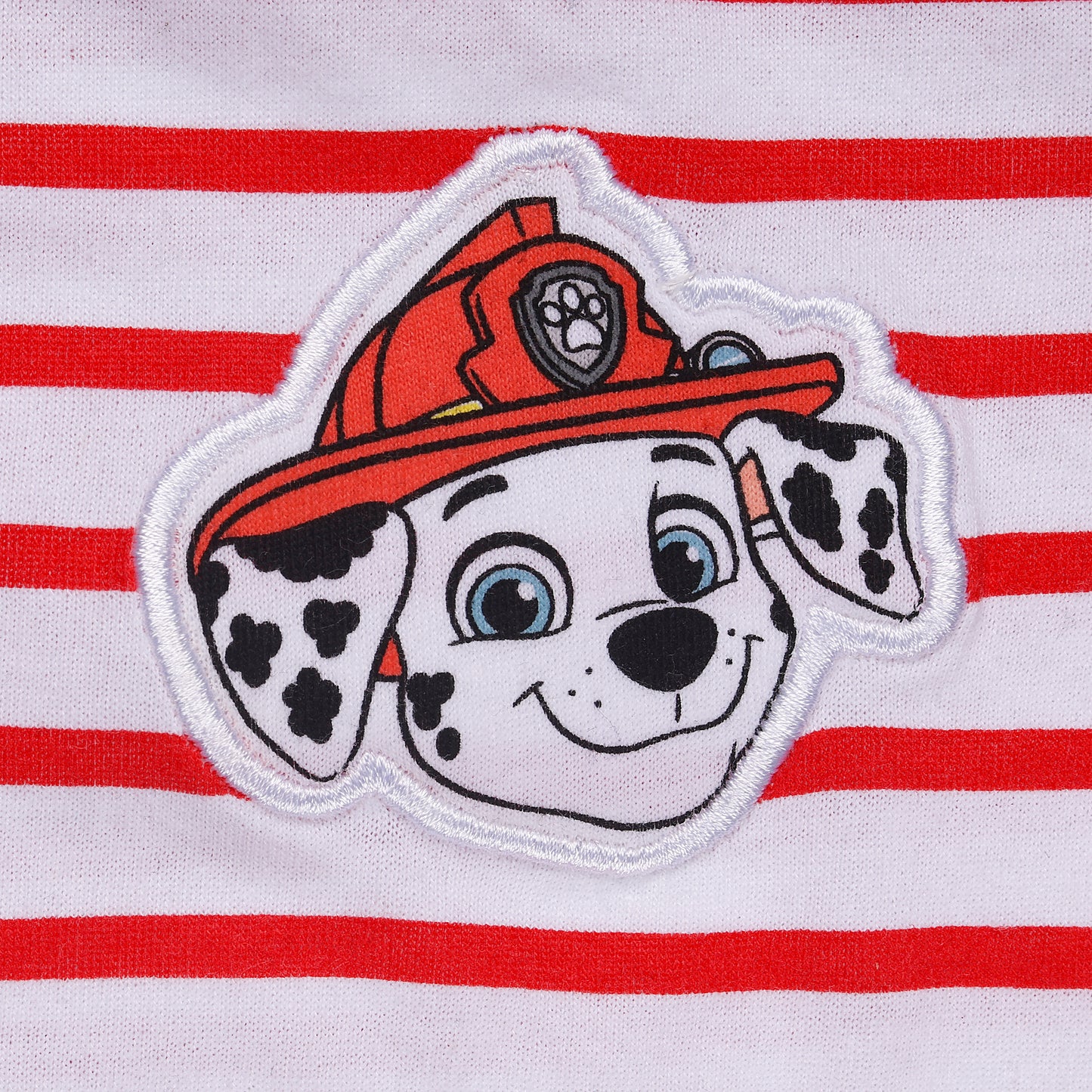 Paw Patrol Squad Short Sleeve T Shirt