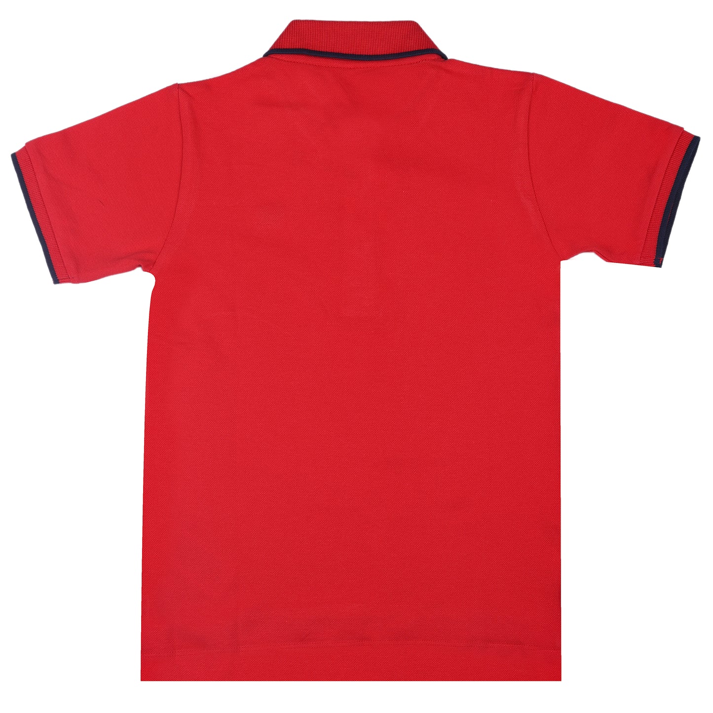 Collar Outing Polo T Shirt