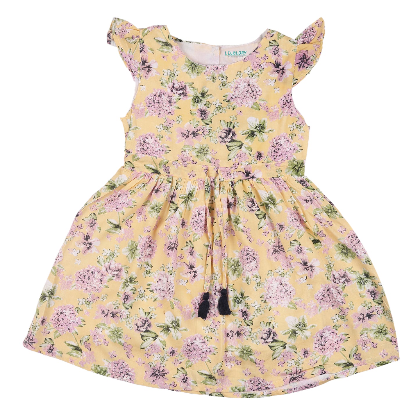 Floral Print Princess Dress with Fly Sleeve Vintage And Party Wear