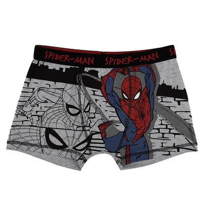 Spiderman All Day And Night Comfort Briefs