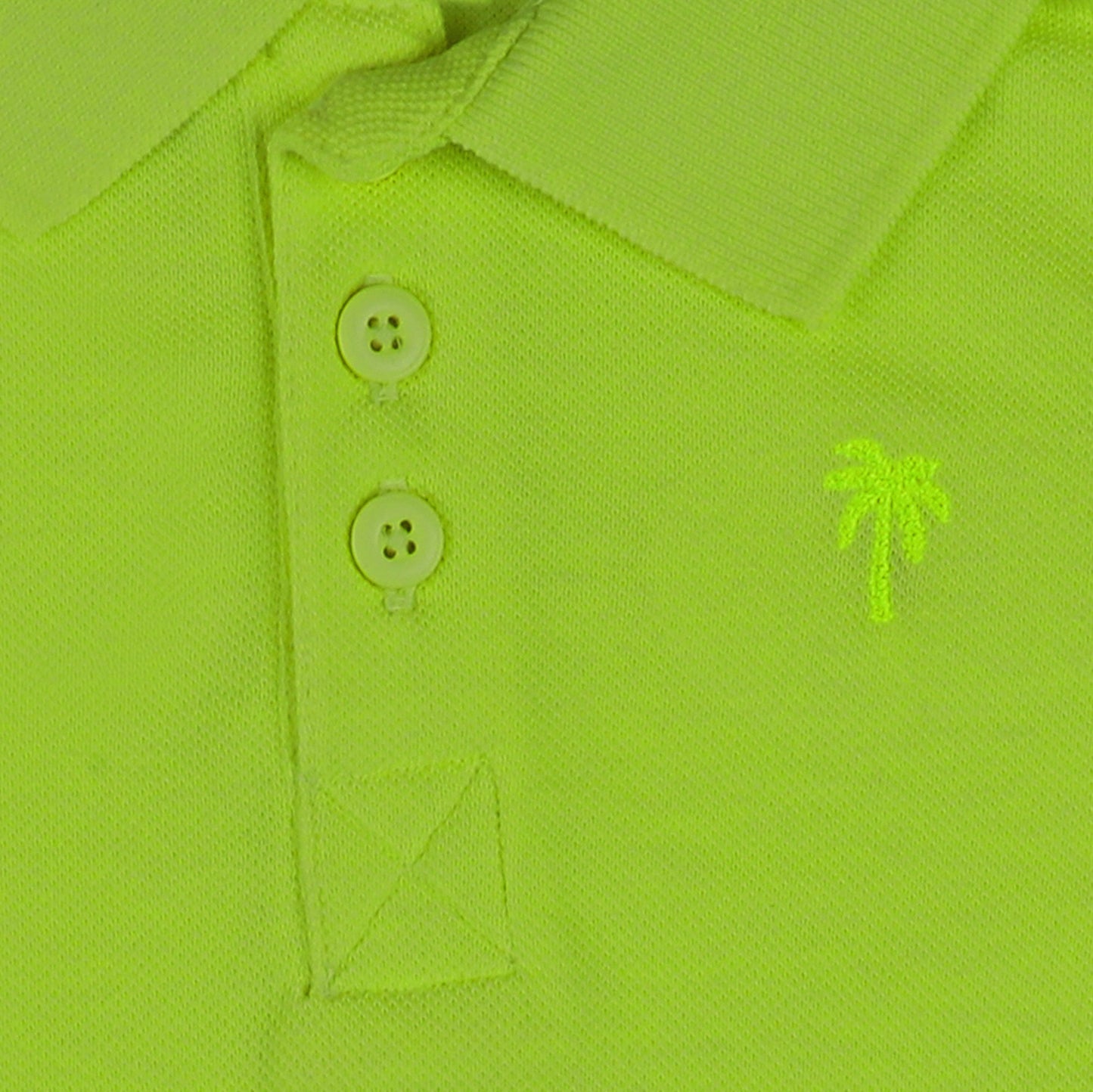 Nutmeg Boys Collar T Shirt