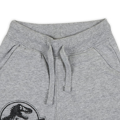 Jurassic World Boys Joggers