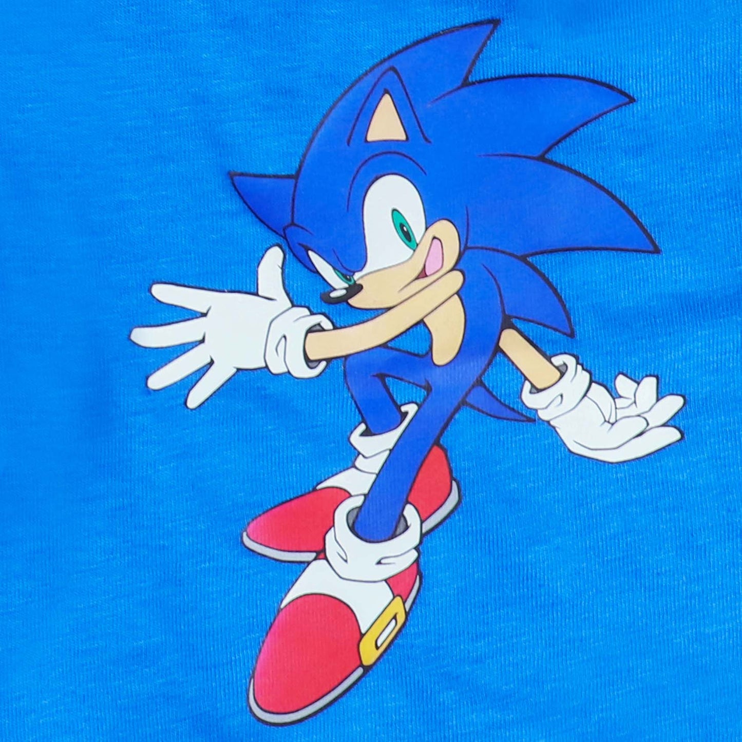 Sonic The Hedgehog Playwear T Shirt And Shorty Set