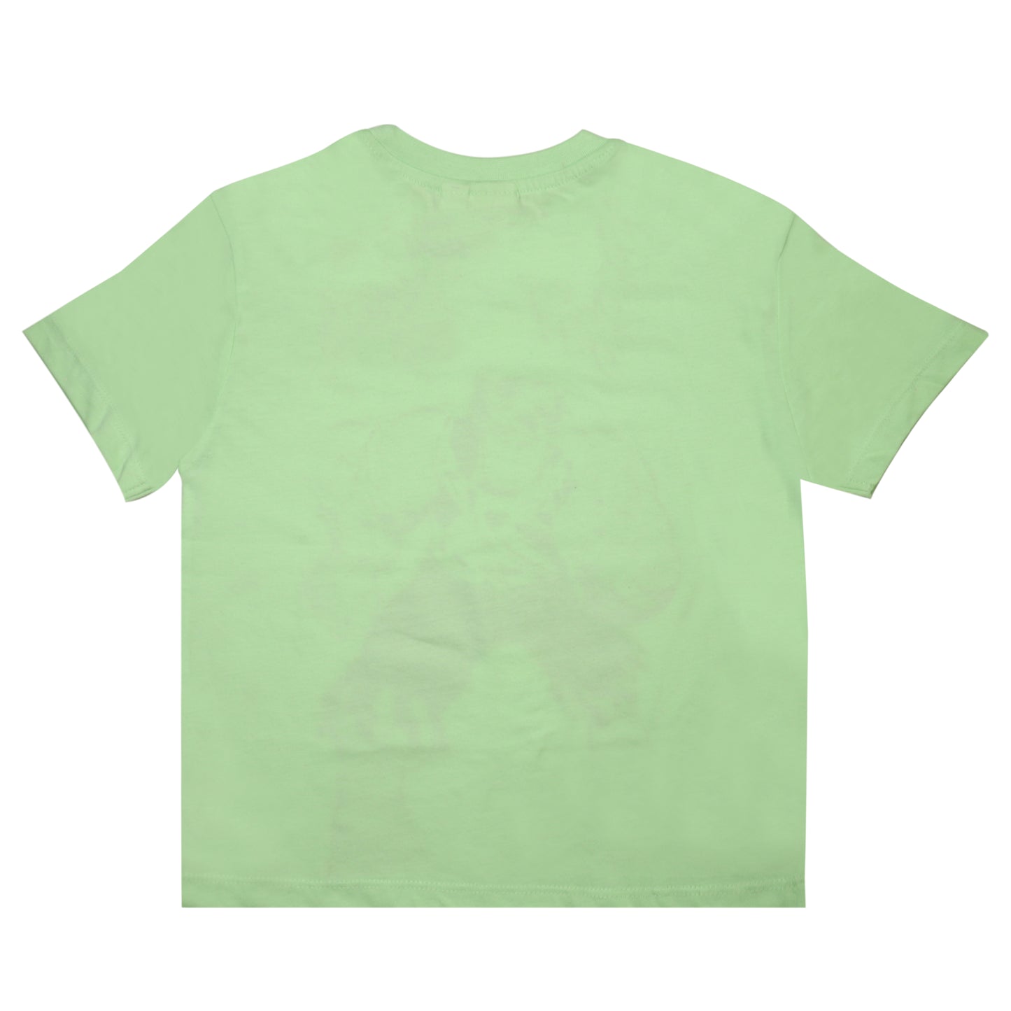 I Am The Hulk T Shirt