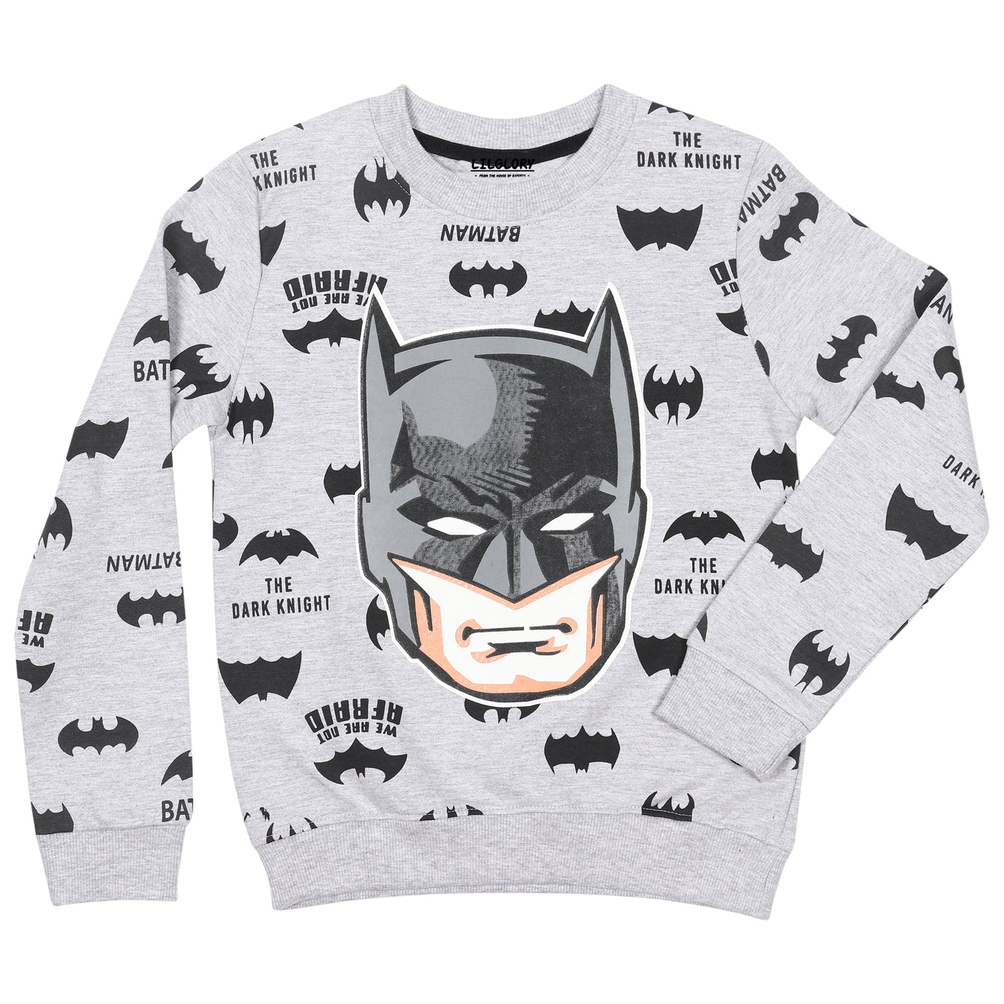 DC Batman Boys Printed Pullover Sweatshirt
