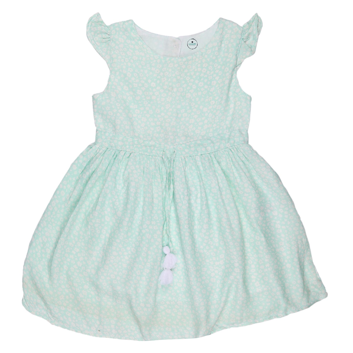 Floral print Princess Dress with Fly Sleeve Vintage And Party Wear