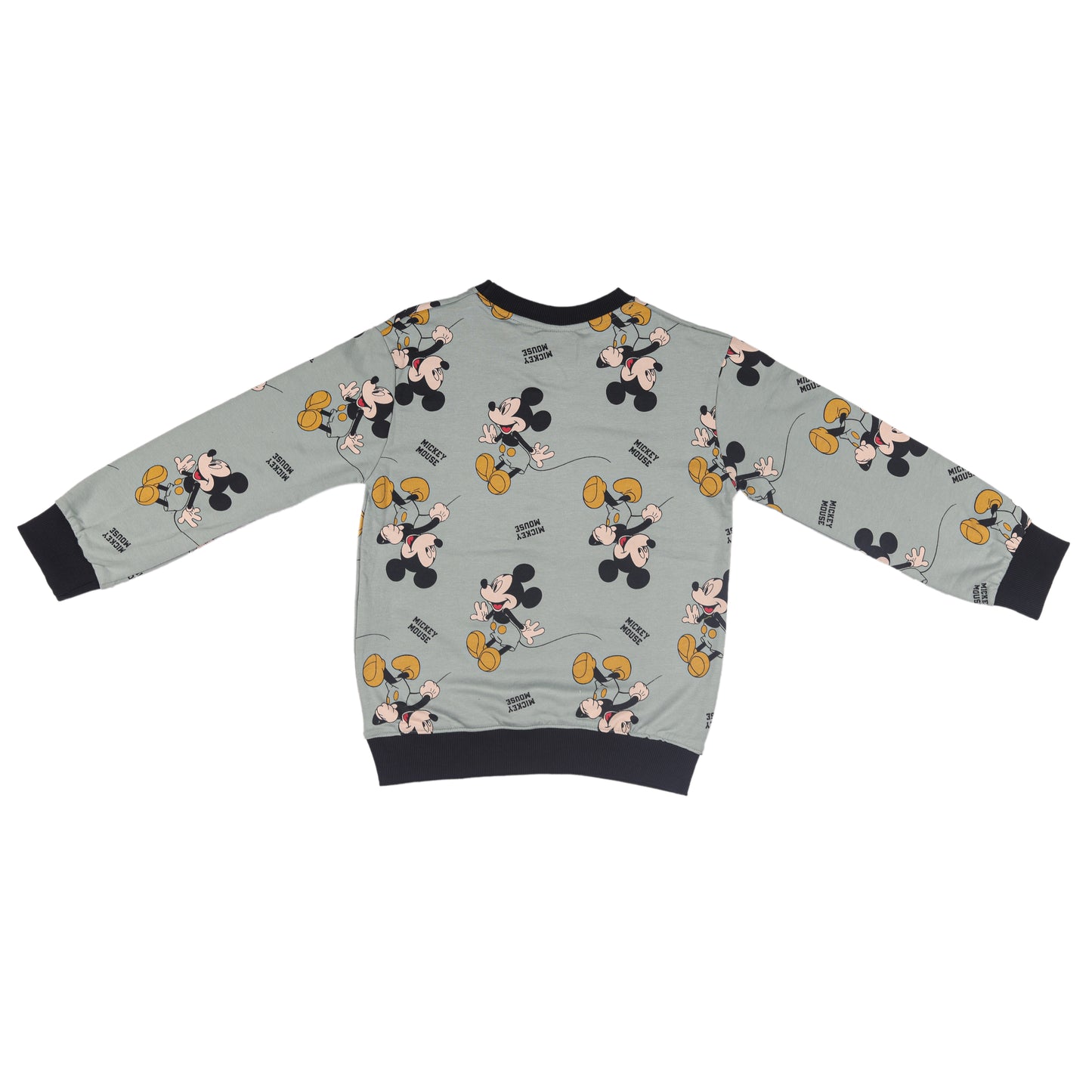 Mickey Mouse Printed Mint Green Knitted Outing Sweatshirt