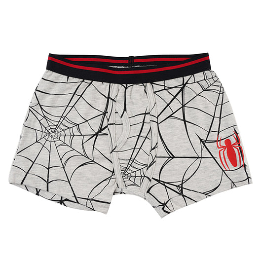 Spiderman Grey Boys Brief All Day And Night Boxers