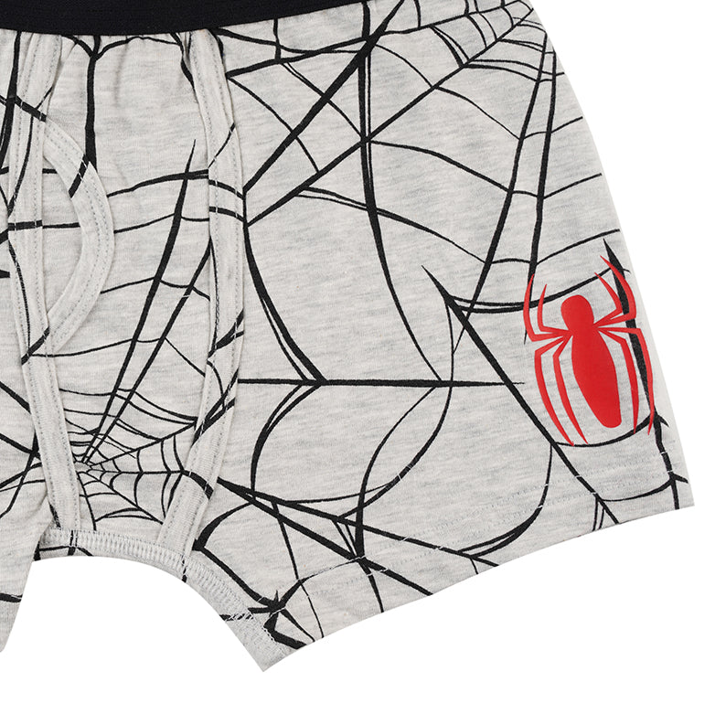 Spiderman Grey Boys Brief All Day And Night Boxers