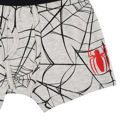 Spiderman Grey Boys Brief All Day And Night Boxers