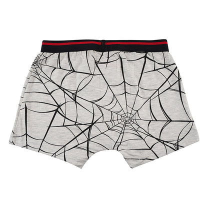 Spiderman Grey Boys Brief All Day And Night Boxers