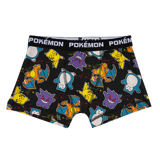 Pokemon Boys Brief All Day And Night Boxers