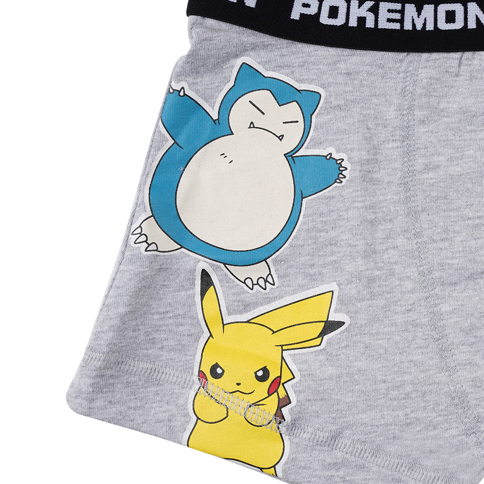 Pokemon Grey Boys Brief All Day And Night Boxers