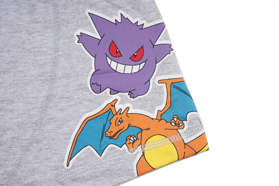Pokemon Grey Boys Brief All Day And Night Boxers