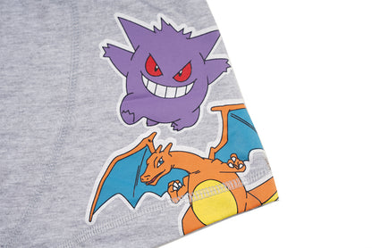 Pokemon Grey Boys Brief All Day And Night Boxers