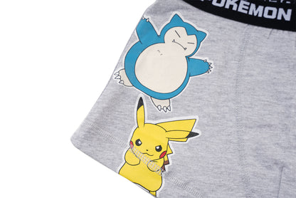 Pokemon Grey Boys Brief All Day And Night Boxers