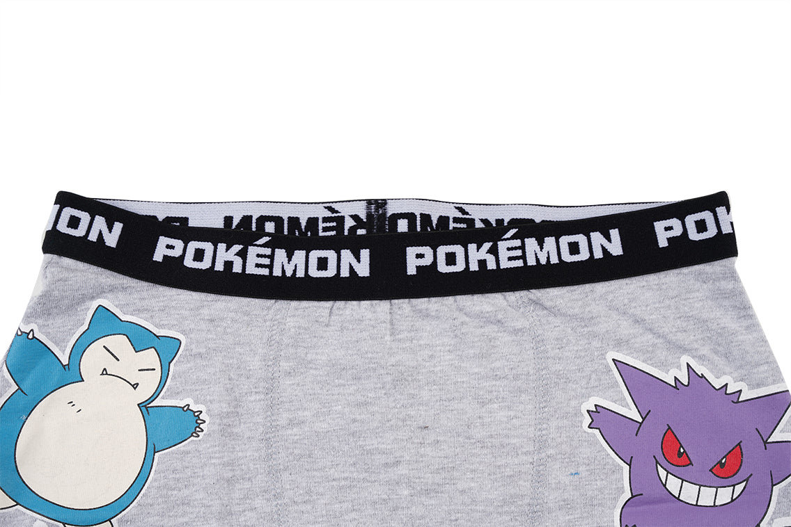 Pokemon Grey Boys Brief All Day And Night Boxers