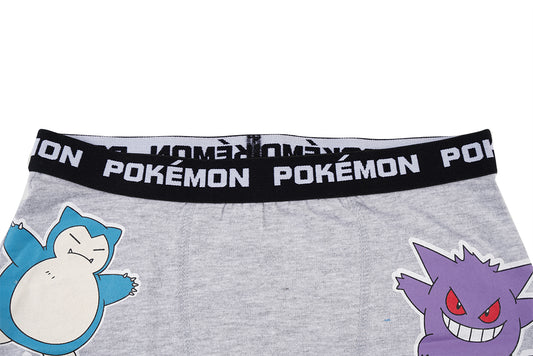 Pokemon Grey Boys Brief All Day And Night Boxers