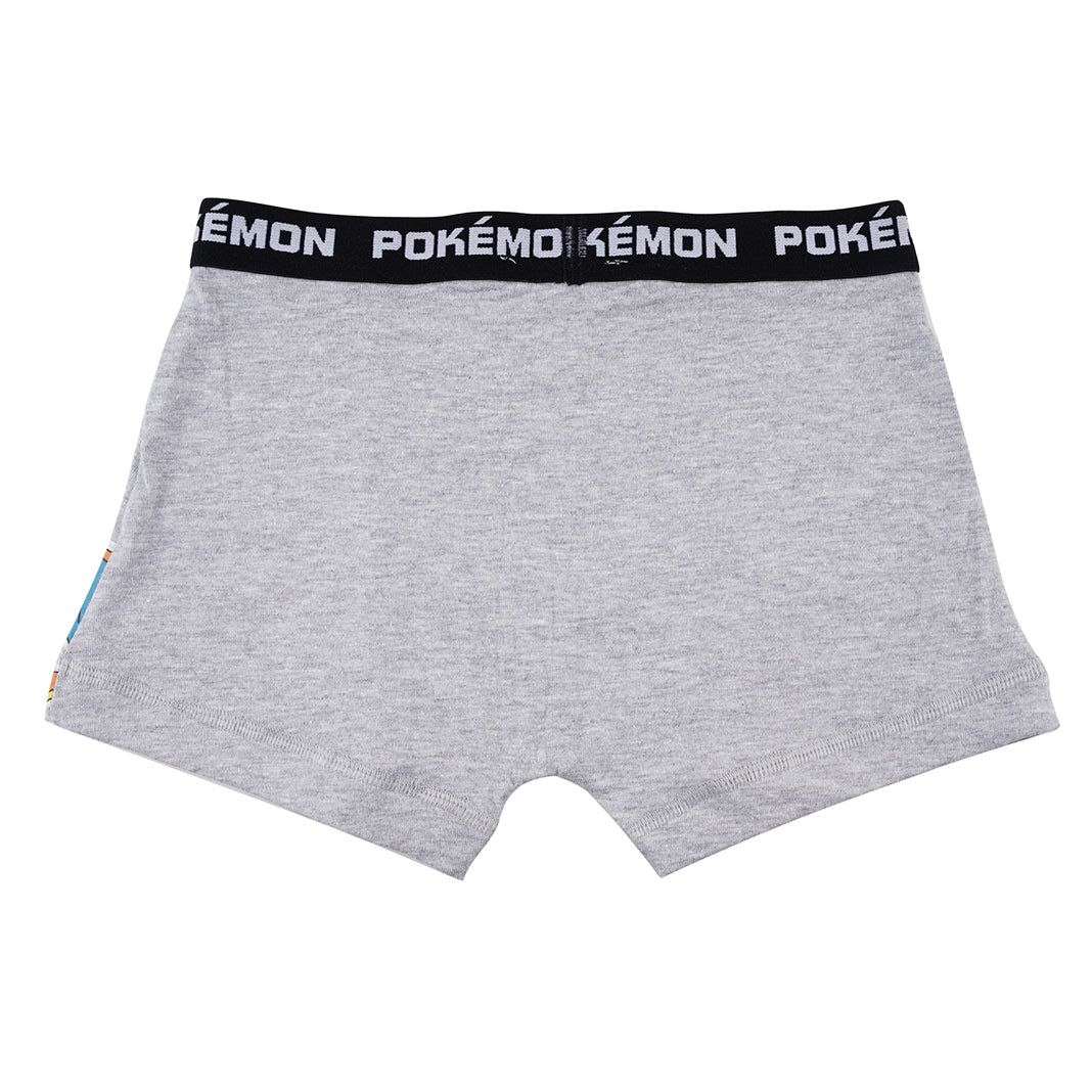 Pokemon Grey Boys Brief All Day And Night Boxers