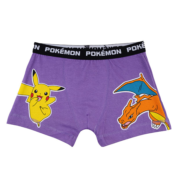Pokemon Boys Brief All Day And Night Boxers