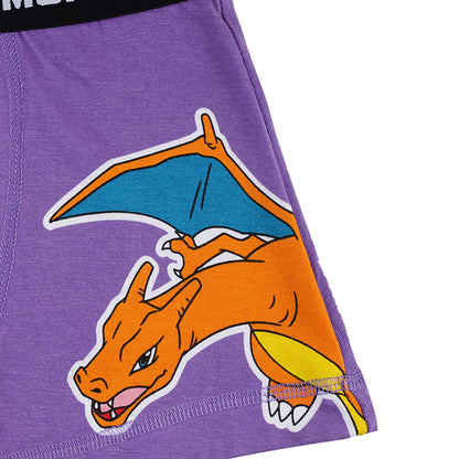 Pokemon Boys Brief All Day And Night Boxers