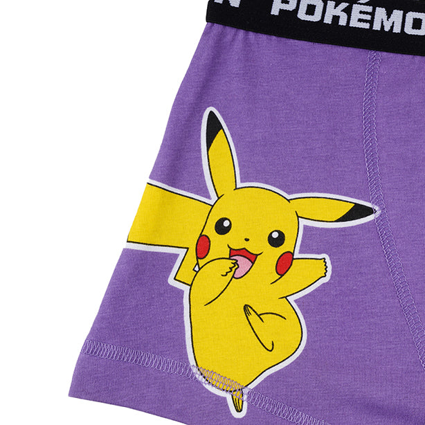 Pokemon Boys Brief All Day And Night Boxers
