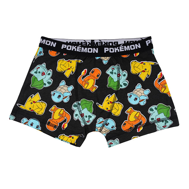 Pokemon Brief All Day And Night Boxers