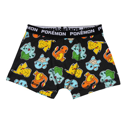 Pokemon Brief All Day And Night Boxers