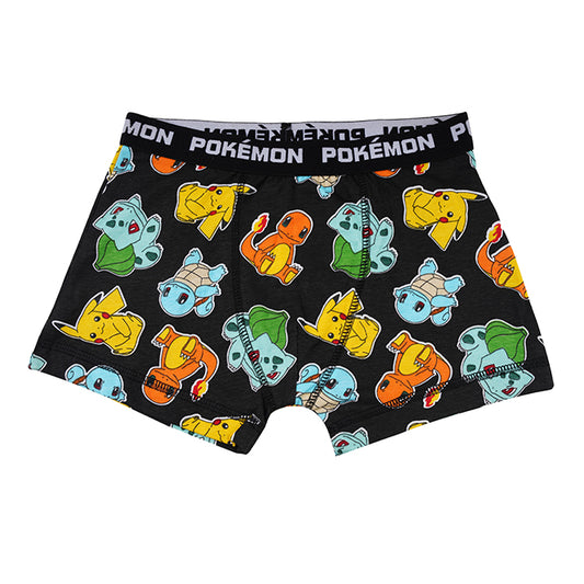 Pokemon Brief All Day And Night Boxers