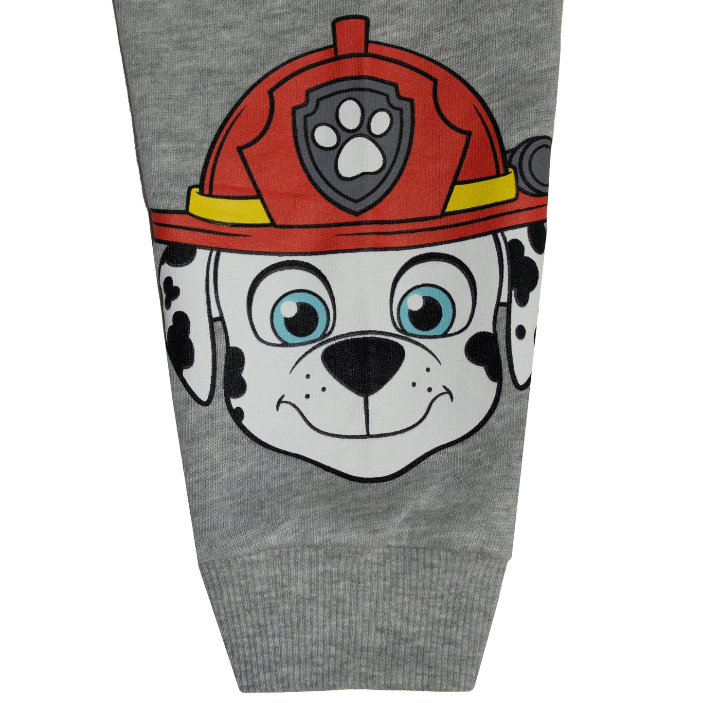 Paw Patrol Squad All Season Oversize Drop Shoulder Sweatshirt